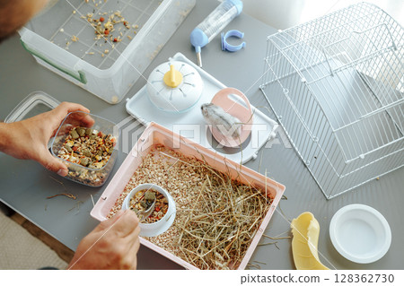 Hamster care routine in a well-organized space with supplies and a happy pet Hamster care routine in a well-organized space with supplies and a happy pet 128362730