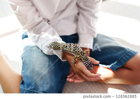 Leopard gecko on a person's arm during a relaxed afternoon indoors in a sunlit room Leopard gecko on a person's arm during a relaxed afternoon indoors in a sunlit room 128362885