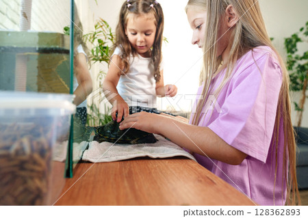 Two girls interact with a turtle in a cozy indoor setting while learning about reptiles and nature conservation together Two girls interact with a turtle in a cozy indoor setting while learning about reptiles and nature conservation together 128362893