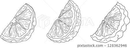 Vector line illustrations of bergamot fruit. Vector line illustrations of bergamot fruit. 128362946