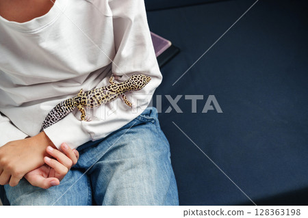 Child interacts with a leopard gecko while seated on a sofa in a cozy indoor space during the afternoon 128363198