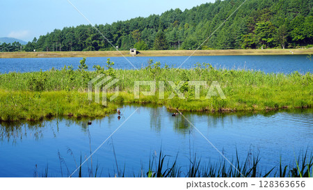 Megami Shinshu Tateshina湖 Megami Shinshu Tateshina湖 128363656