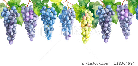 葡萄水彩插圖 128364684