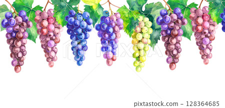 葡萄水彩插圖 128364685