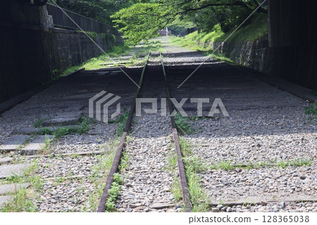 Summer landscape with green leafy trees and incline 128365038
