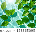 Natural background material of water surface and floating leaves 128365095