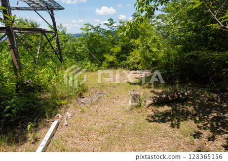 一本松（矢田山）山頂 128365156