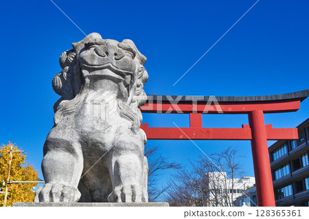 Tsurugaoka Hachimangu Shrine: Second torii gate, lion statues and blue sky (Kamakura, Kanagawa Prefecture) 128365361