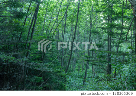 Kamikochi 128365369