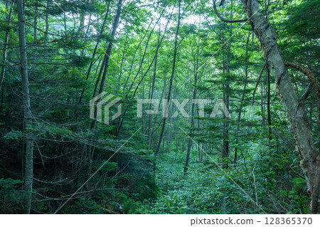Kamikochi 128365370