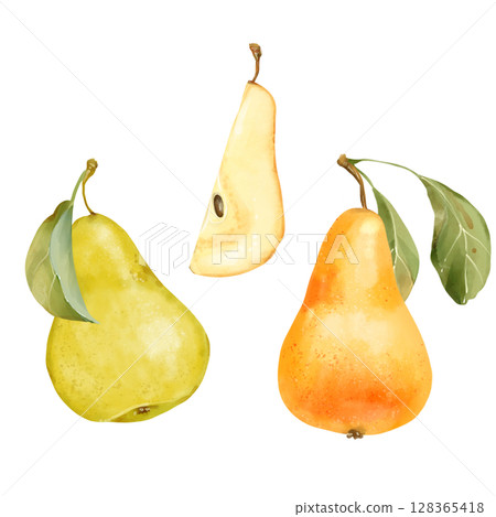 Hand-drawn illustration of fresh pears in green and yellow with a leaf, isolated on white. Ideal for packaging and design projects. Hand-drawn illustration of fresh pears in green and yellow with a leaf, isolated on white. Ideal for packaging and design projects. 128365418