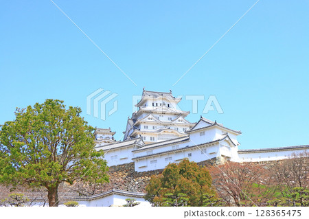 Scenery of National Treasure Himeji Castle, Himeji City, Hyogo Prefecture 128365475