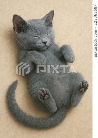 Sleeping kitten 128365687