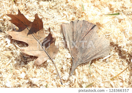 Dried Leaves Resting on Top of Wood Shavings, Creating a Beautiful Artistic Display 128366357