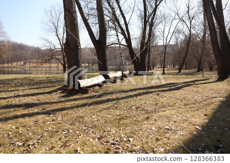 A Serene Park Featuring Rustic Log Benches Placed Beneath Leafless Trees, Inviting Visitors 128366383