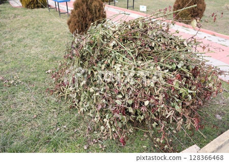 In a public park, dried leaves and twigs are arranged into a pile for visitors to enjoy 128366468