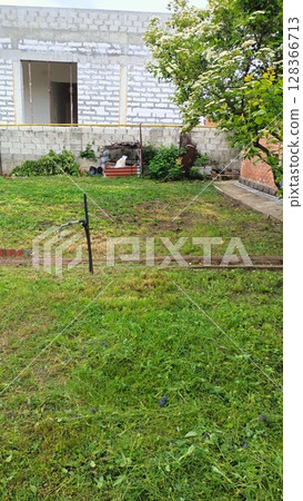 A Quiet and Serene Backyard Scene Featuring Lush Green Grass and Beautiful Surroundings 128366713