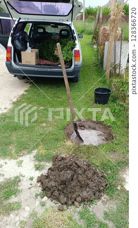 Creating a Hole for Planting in Your Backyard Garden for Various Plants and Vegetables Creating a Hole for Planting in Your Backyard Garden for Various Plants and Vegetables 128366720