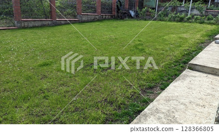 A Vibrant Green Lawn Beautifully Adorned Under the Bright and Glorious Sunshine Today A Vibrant Green Lawn Beautifully Adorned Under the Bright and Glorious Sunshine Today 128366805