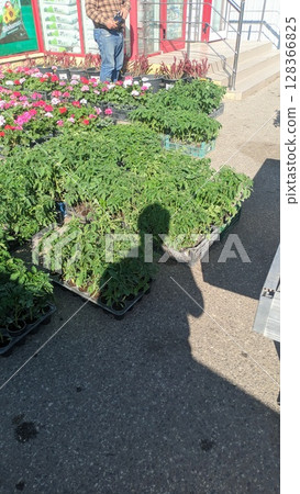 A vibrant and lively flower market scene filled with a variety of stunning green plants A vibrant and lively flower market scene filled with a variety of stunning green plants 128366825