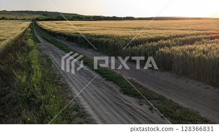 A Scenic Dirt Path Winding Through Golden Fields, Set Against a Beautiful Sunset Sky 128366831