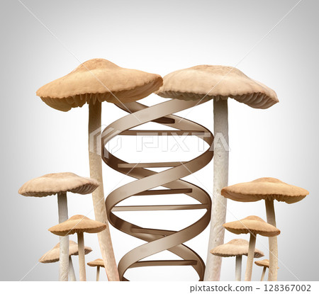 Psilocybin And Longevity Psilocybin And Longevity 128367002