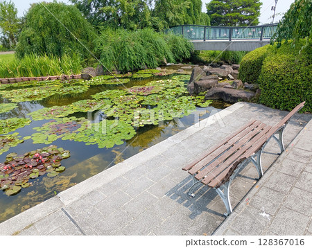 滋賀縣水生植物園水森 滋賀縣水生植物園水森 128367016
