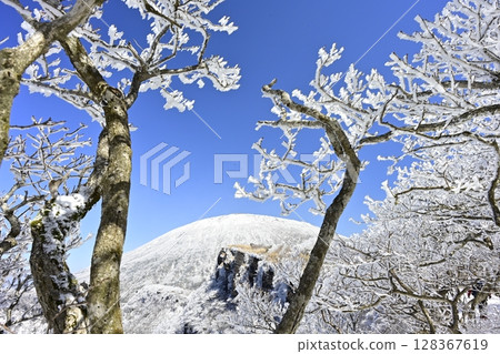 大波池的霧凇樹木 128367619