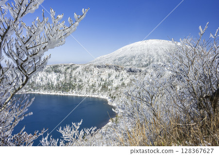 Rime-covered trees at Onami Pond Rime-covered trees at Onami Pond 128367627