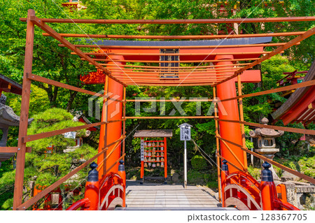 (Saga Prefecture) Yutoku Inari Shrine Iwasaki Shrine (Saga Prefecture) Yutoku Inari Shrine Iwasaki Shrine 128367705