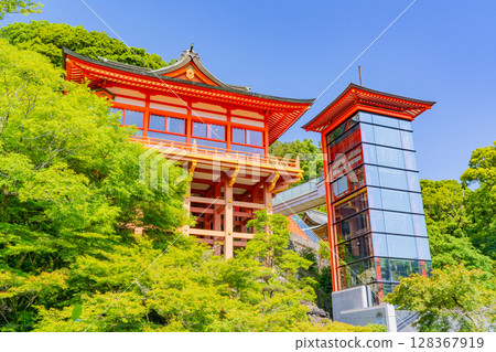 (Saga Prefecture) Yutoku Inari Shrine - The main hall stage as seen from the garden (Saga Prefecture) Yutoku Inari Shrine - The main hall stage as seen from the garden 128367919