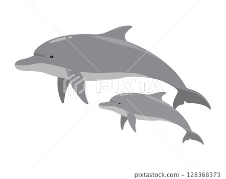 Dolphin parent and child_vector illustration 128368373