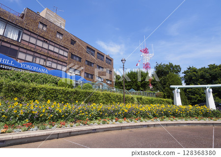 一座小山，在那裡您可以看到海港花園 128368380