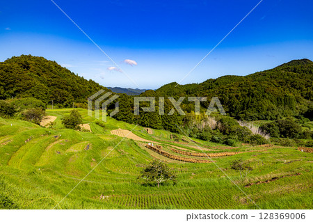 Chiba Prefecture: Rice terraces with a blue sky in the background 128369006