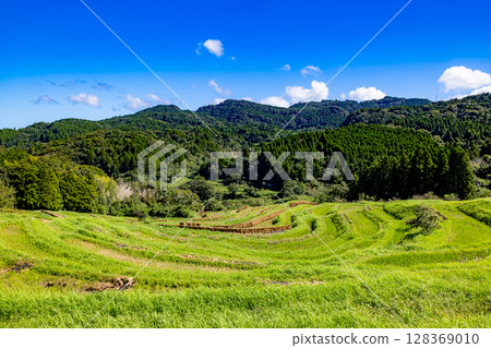Chiba Prefecture: Rice terraces with a blue sky in the background Chiba Prefecture: Rice terraces with a blue sky in the background 128369010