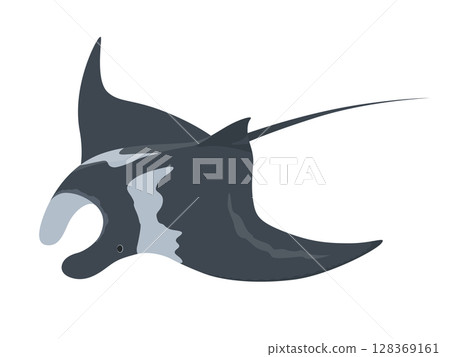 蝠鱝的矢量圖解 128369161