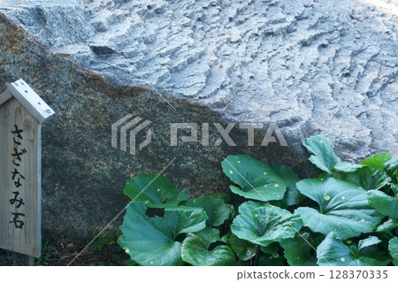 Tokugawa Garden: Ripple stones on the banks of Lake Ryusen Tokugawa Garden: Ripple stones on the banks of Lake Ryusen 128370335