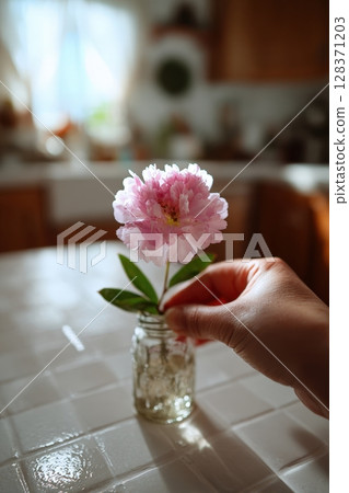 POV of Placing a Fresh Flower in a Vase on a Sunlit Kitchen Table 128371203