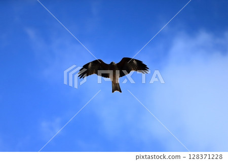 藍天和風箏圖像 藍天和風箏圖像 128371228