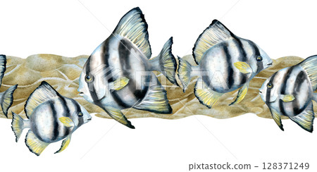 Seamless border of black-white striped tropical fish, beige corals, sea sand. Watercolor template of seascape in beige tones isolated on white background for sea design, diving, scrapbook, sticker 128371249