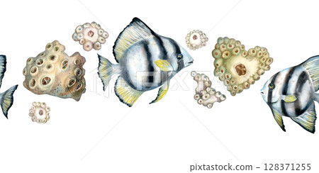 Seamless border of black-white striped tropical fish, beige corals on the reefs. Watercolor template of seascape in beige tones isolated on white background for sea design, diving, scrapbook, sticker Seamless border of black-white striped tropical fish, beige corals on the reefs. Watercolor template of seascape in beige tones isolated on white background for sea design, diving, scrapbook, sticker 128371255