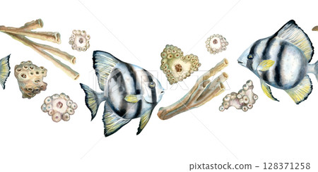 Seamless border of black-white striped tropical fish, beige corals on the reefs. Watercolor template of seascape in beige tones isolated on white background for sea design, diving, scrapbook, sticker 128371258