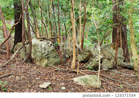 山中裸露的岩石 山中裸露的岩石 128371584