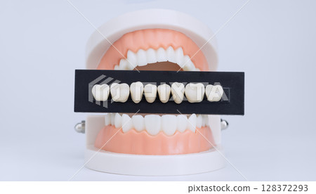 Front view of dental model with tooth shade guide bar, used for matching crown or veneer colors in cosmetic dentistry. 128372293