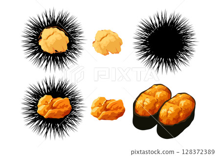 海膽、刺和壽司插圖素材向量 128372389