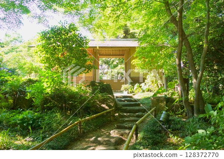 石階盡頭是酒泉庵德川庭園 石階盡頭是酒泉庵德川庭園 128372770