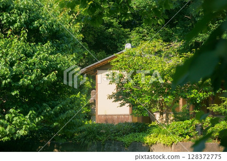 綠意盎然的建築：德川庭園酒醉庵 128372775