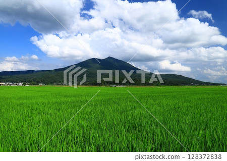 Mt. Tsukuba and rice 128372838