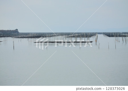 大牟田市有明海紫菜場, 大牟田市有明海紫菜場, 128373026