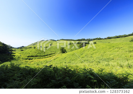 拍攝風力渦輪機在晴朗的藍天下發電的風景 128373162